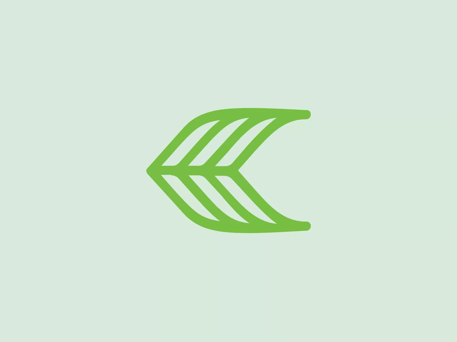The Cariuma logo boasts a stylized, abstract design reminiscent of a dynamic wing or leaf shape. Featuring a modern and organic feel, the logo is characterized by seven slightly curved lines that converge at an angle on the left side, evoking motion lines used to represent speed. Utilizing a flat, vibrant shade of green, the design suggests growth, vitality, and a connection to nature or sustainability. The clever use of negative space between the lines creates an airy and forward-moving aesthetic. This logo effectively conveys movement, eco-friendliness, or a health-focused brand identity.