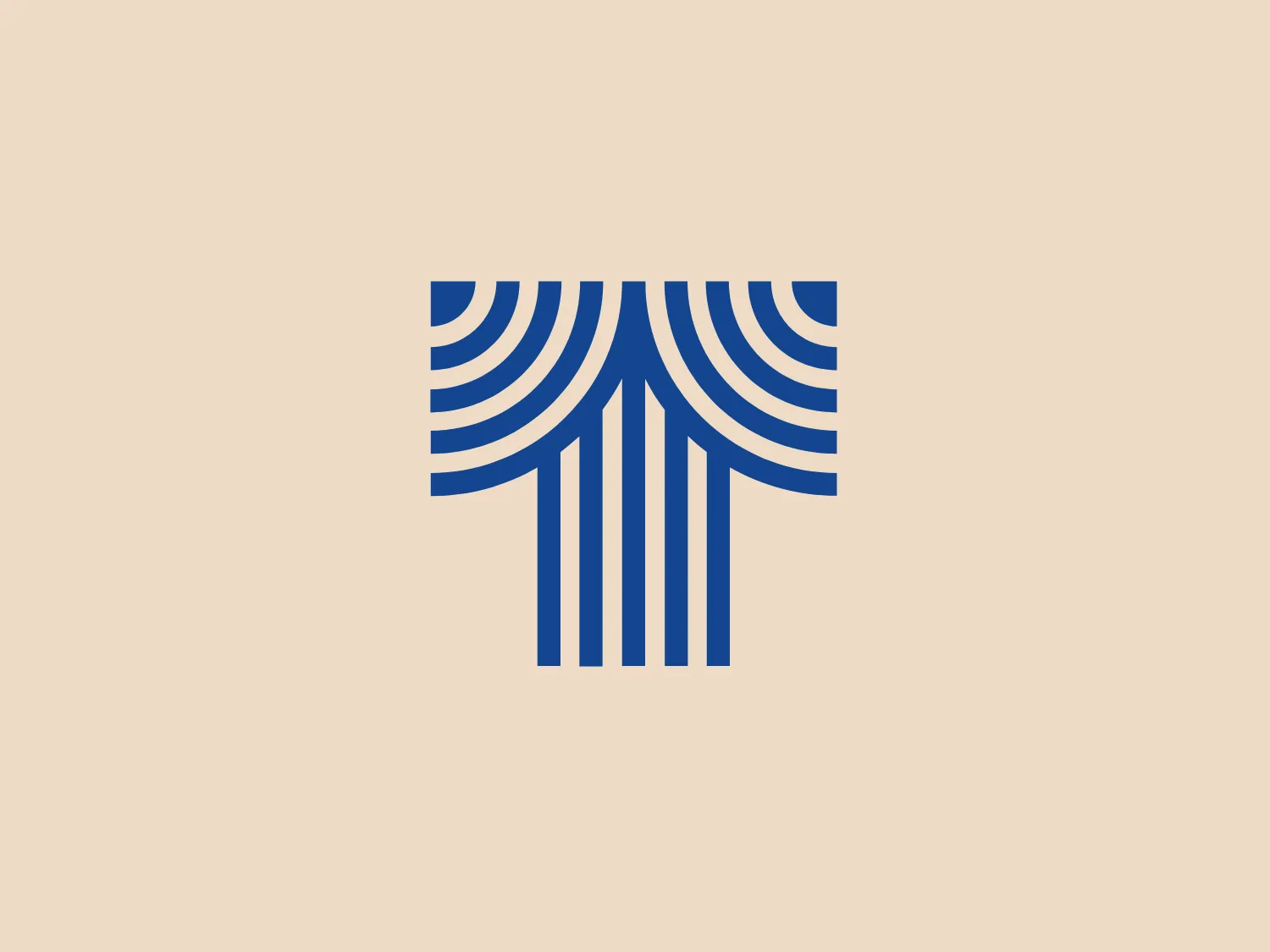 The Texsaca logo features a modern, abstract design composed of blue lines forming a stylized tree or network motif. Varying line widths create depth and movement, with lines radiating from a central point and descending vertically. The solid, deep blue color contrasts sharply with the white background, giving the logo a clean and professional, tech or growth-oriented feel. Ideal for a corporate or technological brand identity.