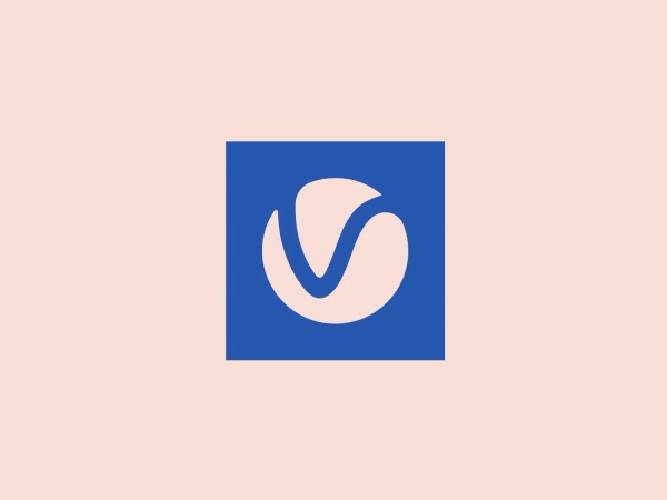 The V Ray logo features a white abstract symbol consisting of what appear to be three stylized elements or leaves, enclosed within a square with rounded edges. The focal point of the design is the central element which resembles a 'V' shape or a checkmark, conveying notions of approval or verification. This symbol is set against a solid, rich blue background, which provides a striking contrast to the white. The overall design aesthetic is modern and minimalist, with a clean, professional appearance that is versatile for various branding situations.