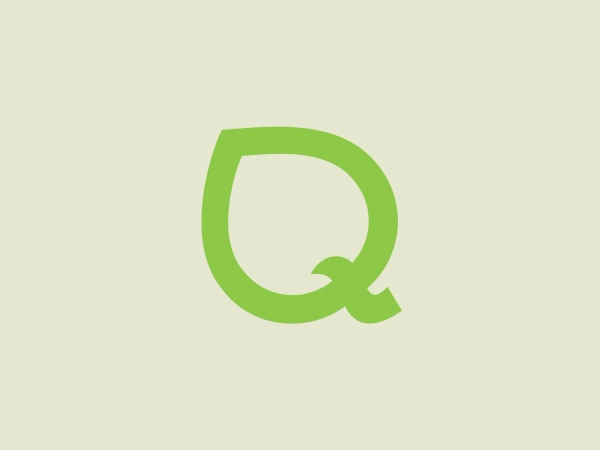 One thing we like about the Q-Factory logo is its modern and minimalist design, with a stylized "Q" representing openness and continuity.