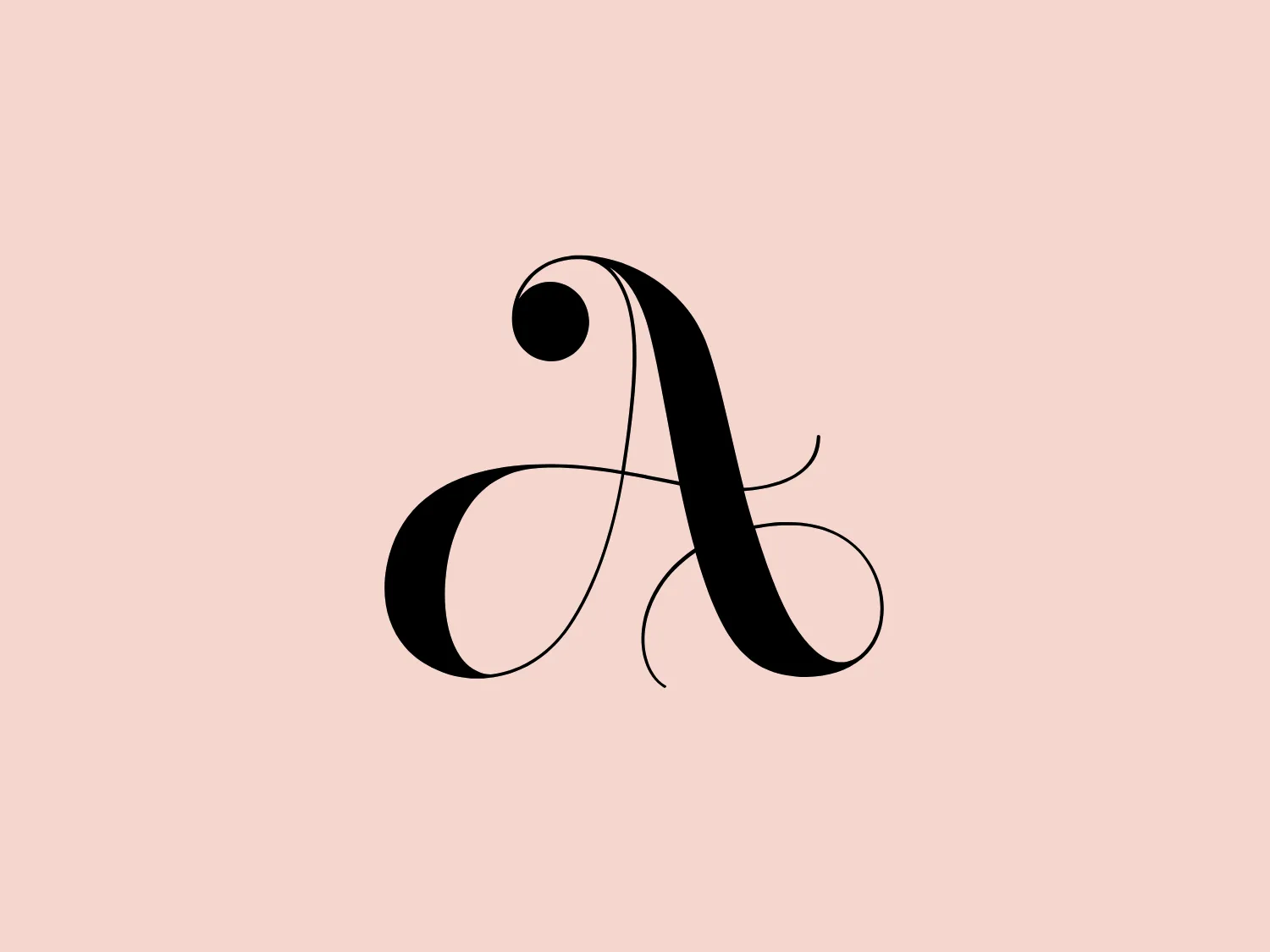 The logo for Amy Kuschel showcases a stylized black letterform that resembles a lowercase "a" with graceful curves and intricate details. Its minimalistic yet sophisticated design relies on the interplay of thick and thin strokes to evoke a sense of movement and grace. The "a" flows into a larger loop with a smaller loop forming the letter's head, complete with a delicate spiral detail. A fine line extends from the bottom, adding a swift, artistic flourish to the overall elegant and timeless aesthetic.