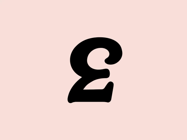 What we like is the sleek and contemporary design of the lowercase "e" logo for Enter Accessories, with its clean lines and minimalist aesthetic.