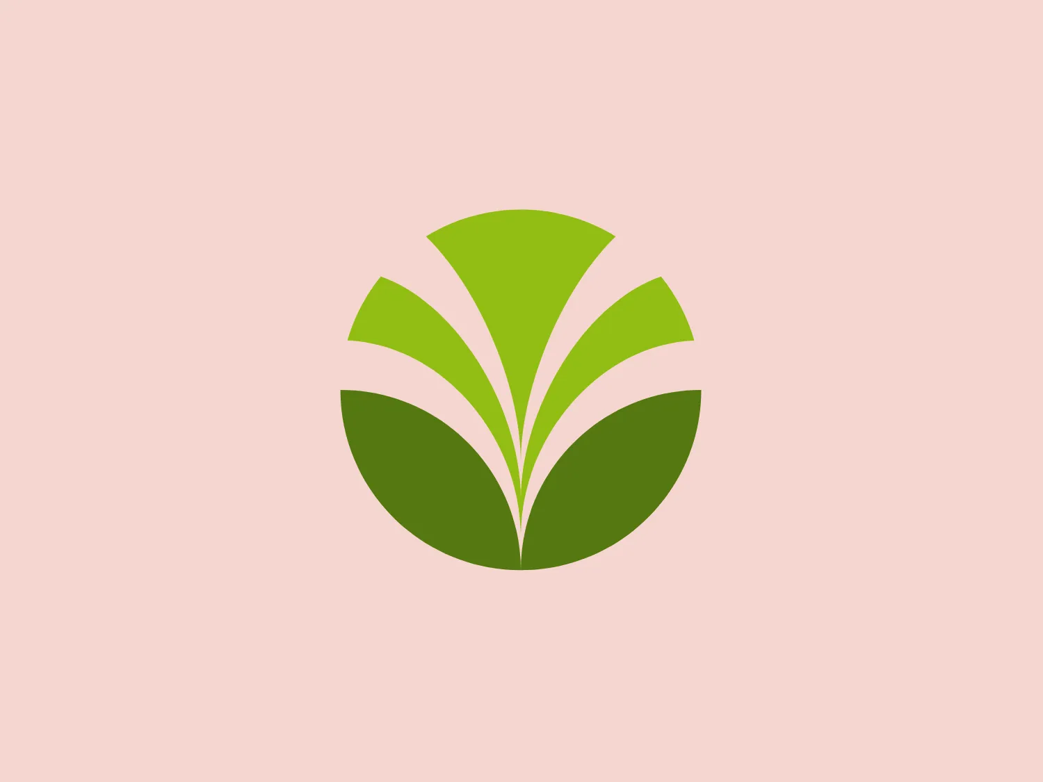 The Olam Group logo consists of a circular motif made up of three overlapping leaves in varying shades of green, creating an abstract and organic feel. The design conveys eco-friendliness, sustainability, and growth, with the leaves fanning out from a central point at the bottom. The color gradient adds depth and modernity to the overall aesthetic.