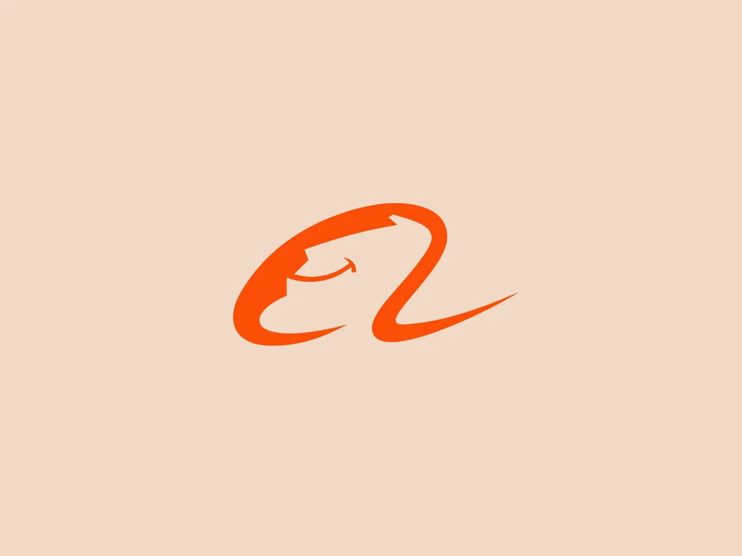 The Alibaba logo is a stylized representation of the lowercase letter 'a', with smooth, flowing lines creating a sense of fluid motion. The main body of the 'a' appears almost oval or teardrop-shaped with a dynamic tail that curves beneath it, suggesting speed and agility. The bright orange color gives it an energetic and contemporary feel, making it modern, minimalist, and appealing to a forward-thinking audience.