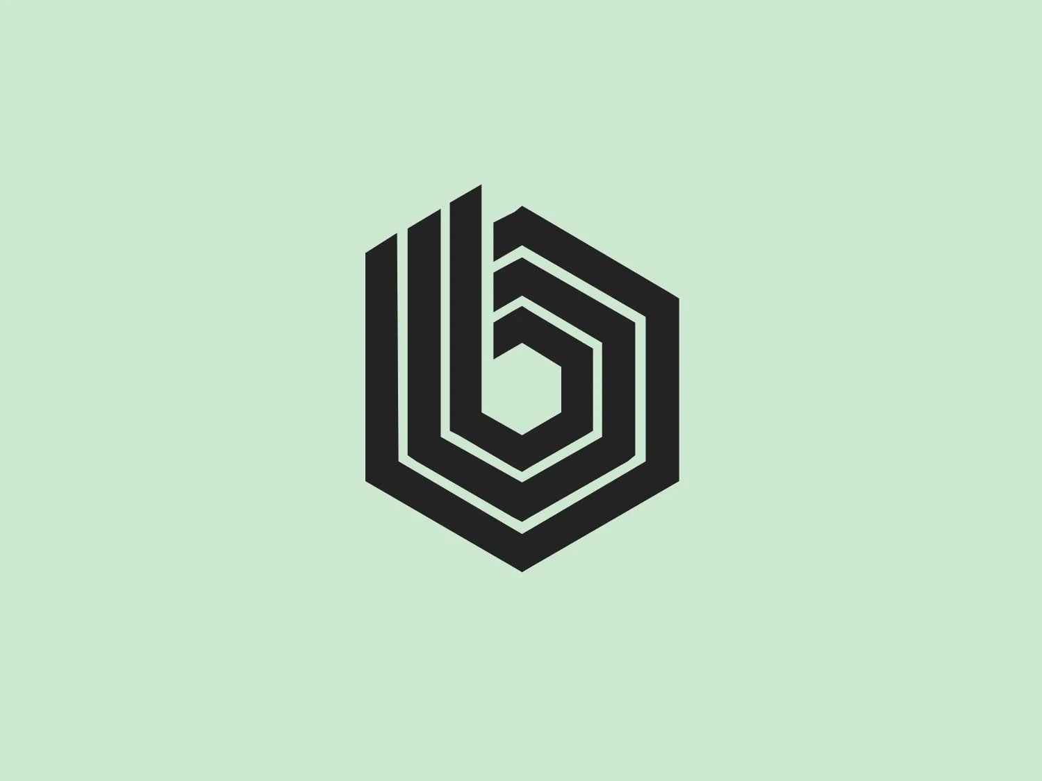 The Baumann Gruppe logo features a series of stylized blue lines forming a three-dimensional, geometric shape with varying thickness. The lines intersect to create a sense of depth and lead the eye towards the center of the design, giving it a modern, clean, and professional appearance.