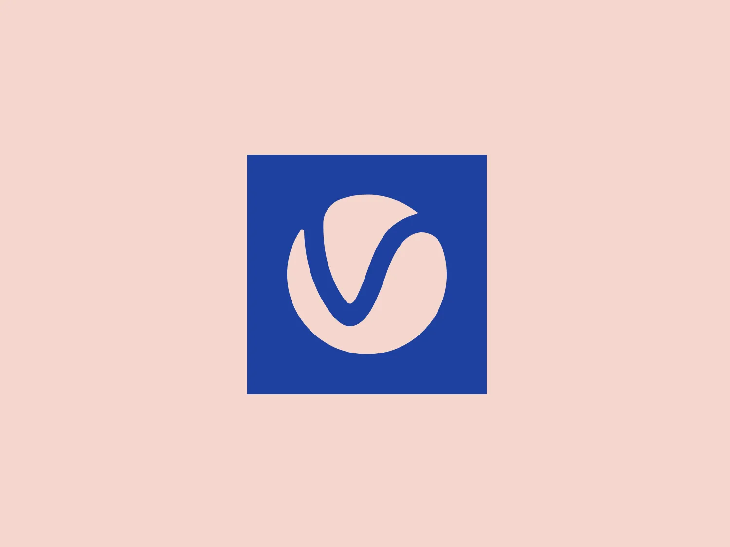 The V Ray logo features a white abstract symbol consisting of what appear to be three stylized elements or leaves, enclosed within a square with rounded edges. The focal point of the design is the central element which resembles a 'V' shape or a checkmark, conveying notions of approval or verification. This symbol is set against a solid, rich blue background, which provides a striking contrast to the white. The overall design aesthetic is modern and minimalist, with a clean, professional appearance that is versatile for various branding situations.