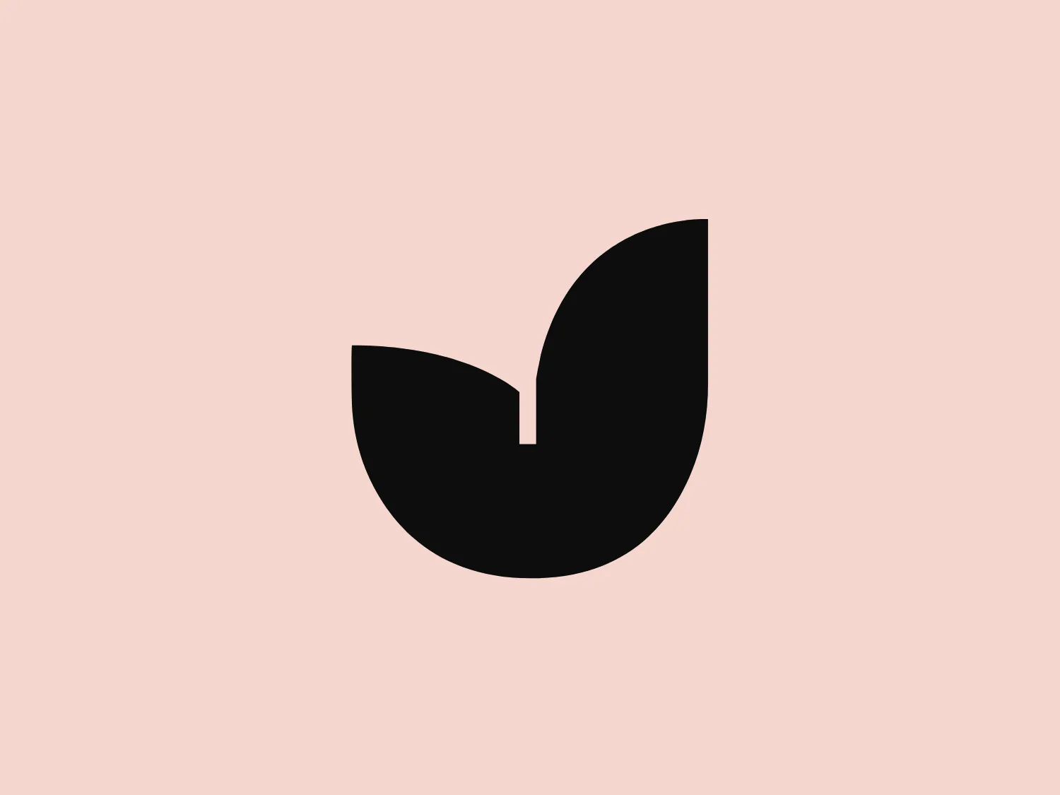 The image displays the Jacu logo, featuring a symmetrical, abstract shape resembling a blooming flower or a stylized letterform. It consists of two dark brown curved elements that mirror each other, tapering down to a rounded point at the bottom, with negative space creating a separation or central line. The design combines organic and modern aesthetics, with smooth curves and a minimalist approach, resulting in a sophisticated and elegant visual symbol. The simplicity and absence of additional embellishments provide a clean and versatile appearance suitable for varied branding applications.