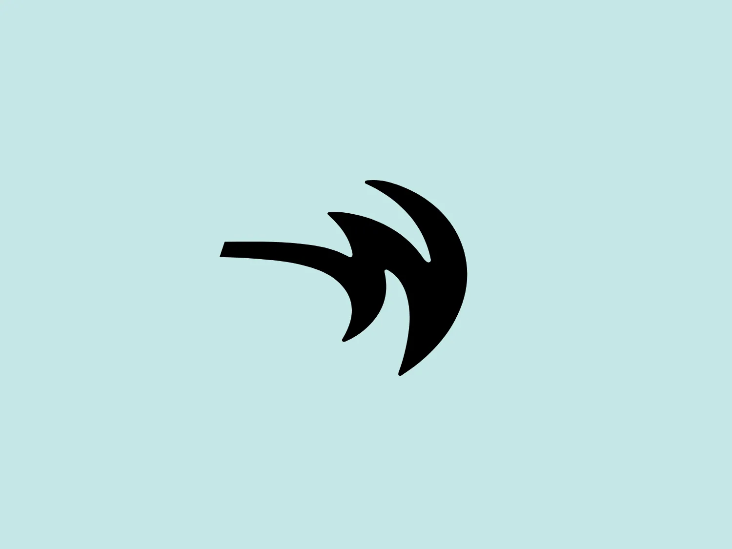 The US National Whitewater Center's logo is a black, dynamic design featuring three pointed shapes fanning out from a shared base point. The design conveys a sense of motion and direction, resembling a combination of a pinwheel and a bird in flight. It has a modern, sleek look with contrasting thick and thin lines, creating a bold and recognizable image.