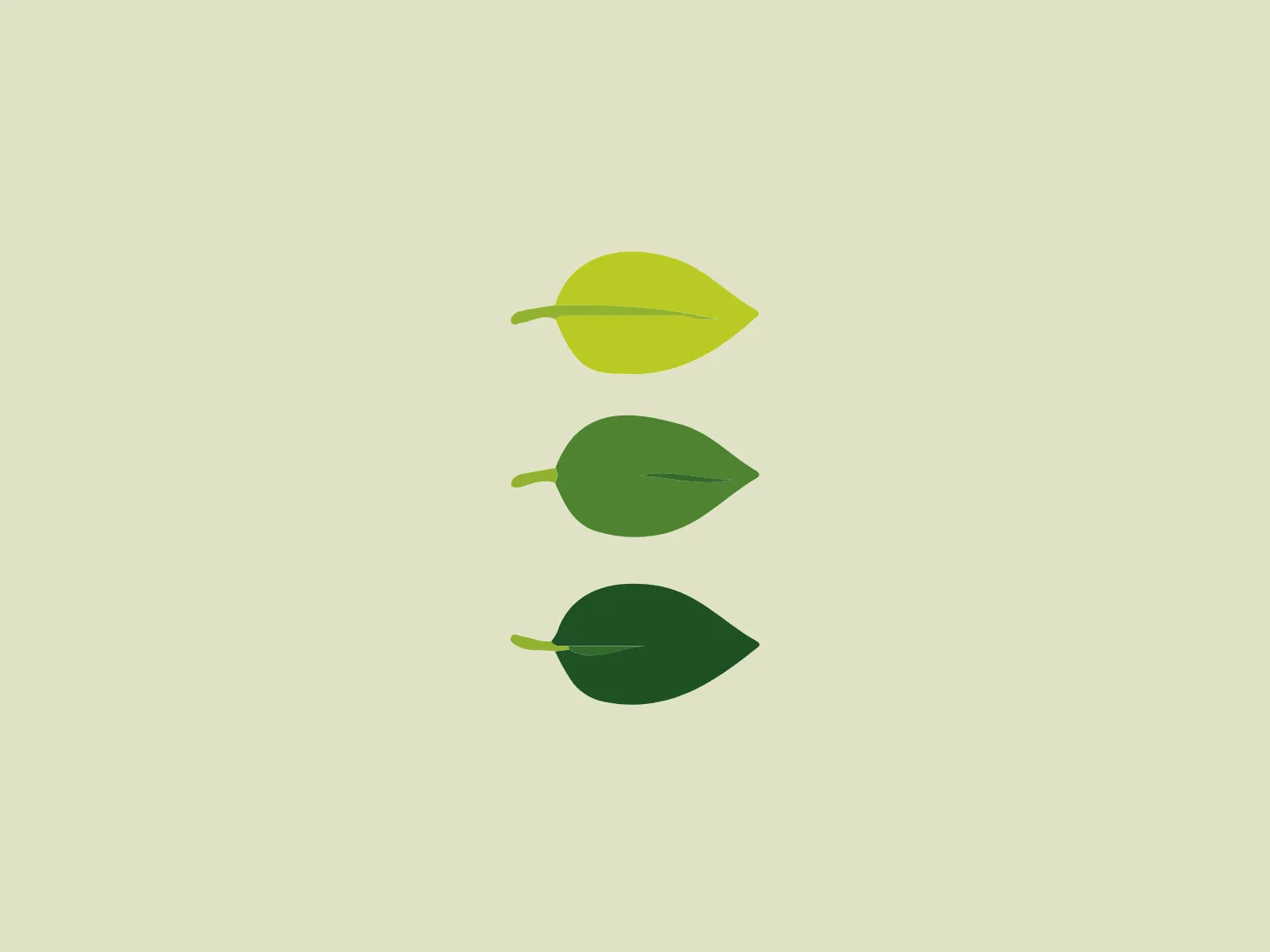 The business logo for Elmwood Living features three stylized leaves arranged vertically, each showcasing a different shade of green. The top leaf is a lively lime green, the middle leaf is a medium green, and the bottom leaf is a deeper forest green. The leaves are simple and flat in shape, with subtle pointed tips and prominent central stems. The gradient of hues from light to dark evokes a sense of depth and natural progression, embodying a minimalist and modern design aesthetic while subtly alluding to themes of growth, sustainability, and nature.